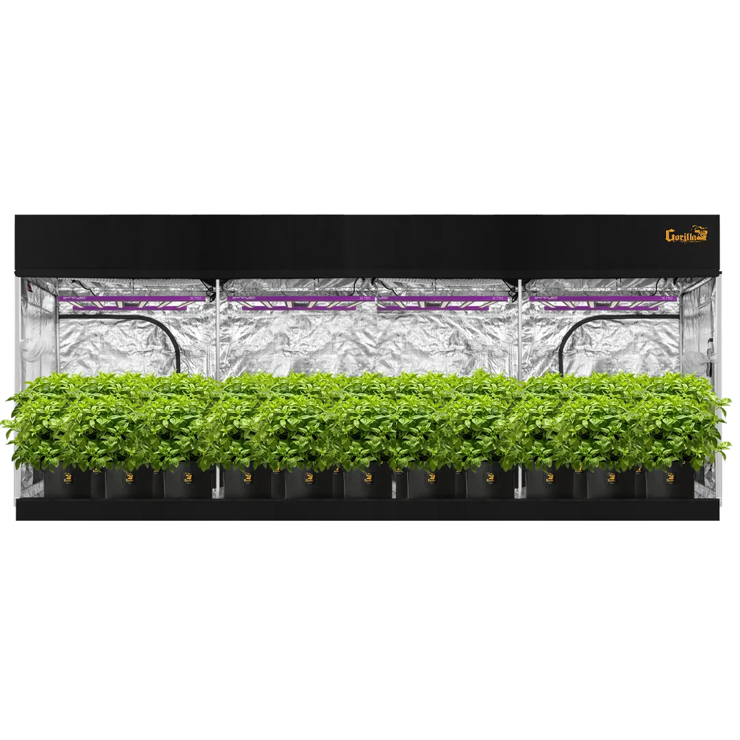 Gorilla Grow Tent 10x20 Pro